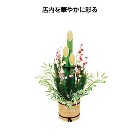叼@80cm