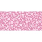 �f�B�X�v���C�V�[�g�@���s���N