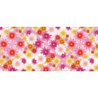 �f�B�X�v���C�V�[�g�@�J���t���t�����[