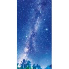 �^�y�X�g���[�i�h���j�V�̐�