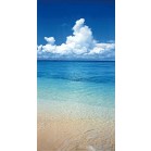 �^�y�X�g���[�i�h���j�C�_