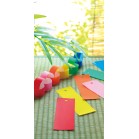 �^�y�X�g���[�i�h���j�Z��